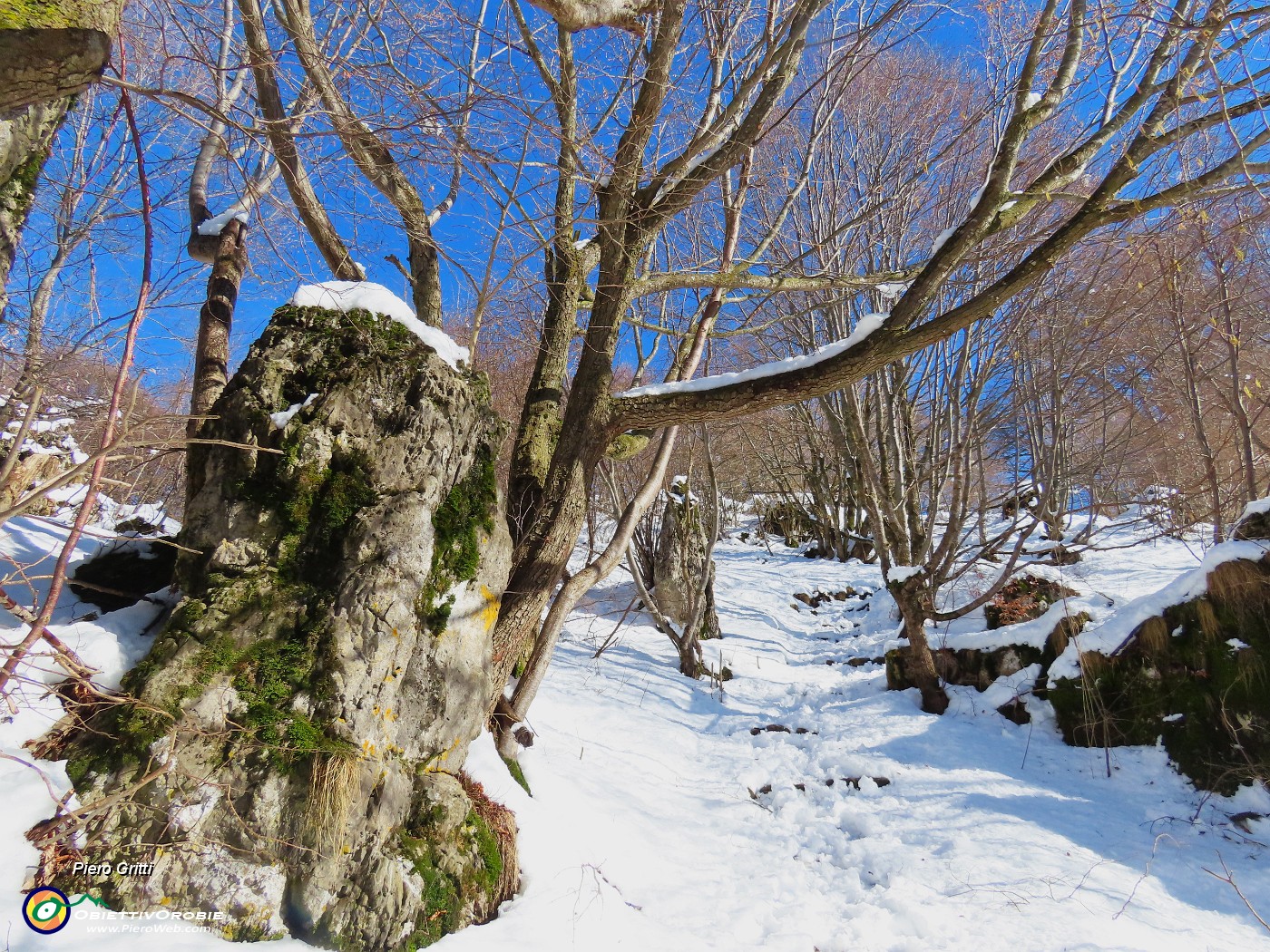 33 E via per cima Monte Zucco.JPG